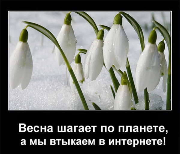 Это изображение имеет пустой атрибут alt; его имя файла - 16-11-1.jpg