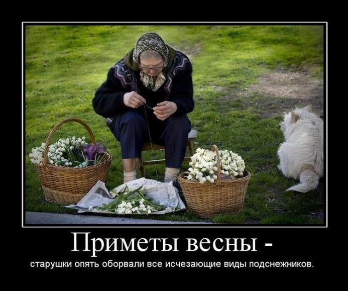 Это изображение имеет пустой атрибут alt; его имя файла - 30-28.jpg