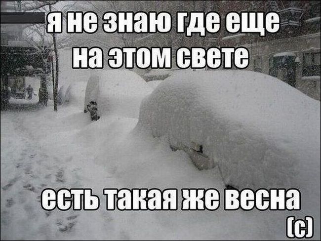 Это изображение имеет пустой атрибут alt; его имя файла - 48c9bb7dd0c1c4bb4f6bbe54c5f771d8.jpg