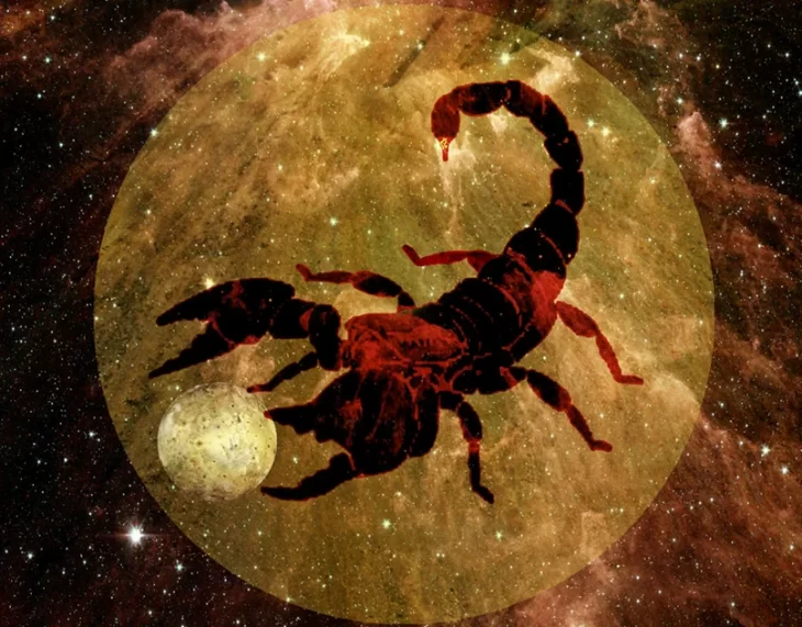 Скорпион с 21 по 27 августа. Скорпион в жизни. Цикл жизни скорпиона. Скорпион знак зодиака арт. Знак зодиака Скорпион jpg.